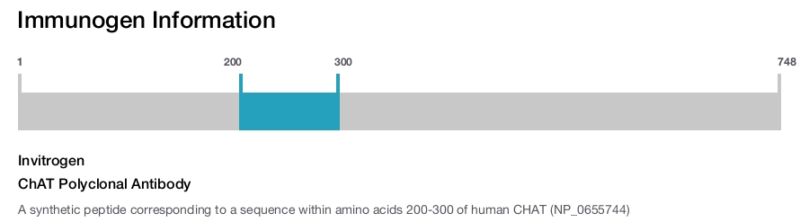 ChAT Polyclonal Antibody