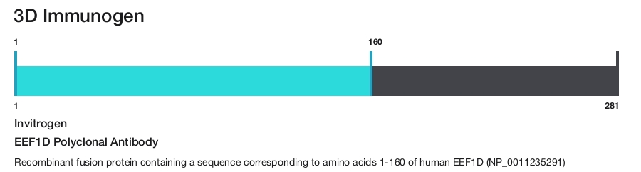 EEF1D Polyclonal Antibody