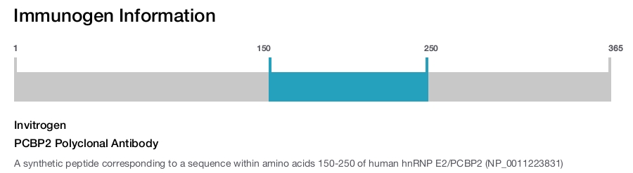 PCBP2 Polyclonal Antibody