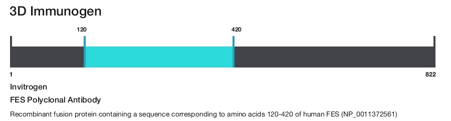 FES Polyclonal Antibody