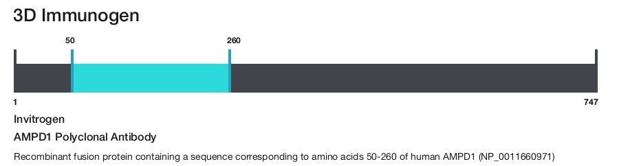 AMPD1 Polyclonal Antibody