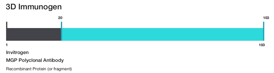 MGP Polyclonal Antibody