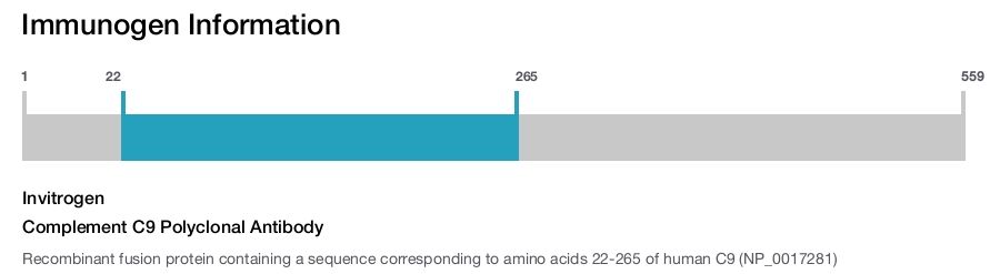 Complement C9 Polyclonal Antibody