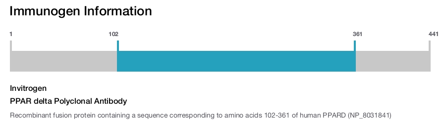 PPAR delta Polyclonal Antibody