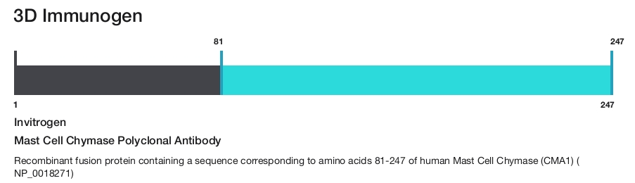 Mast Cell Chymase Polyclonal Antibody