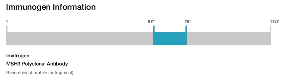 MSH3 Polyclonal Antibody