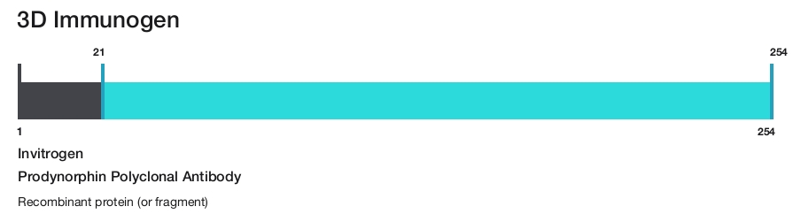 Prodynorphin Polyclonal Antibody