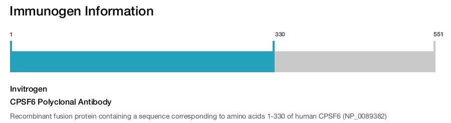 CPSF6 Polyclonal Antibody