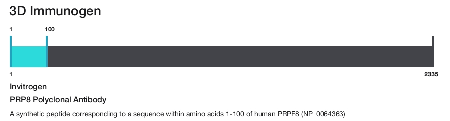 PRP8 Polyclonal Antibody