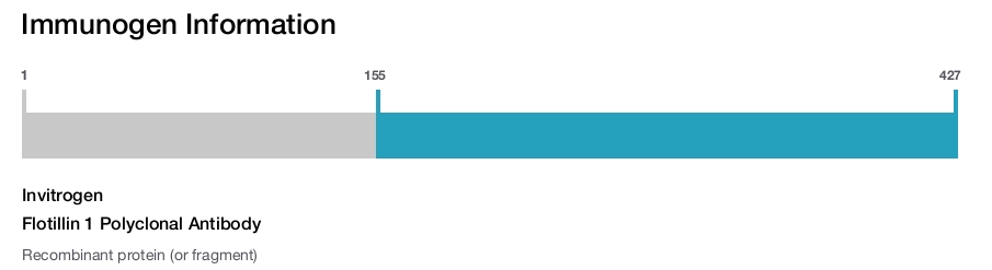 Flotillin 1 Polyclonal Antibody
