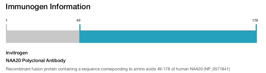 NAA20 Polyclonal Antibody