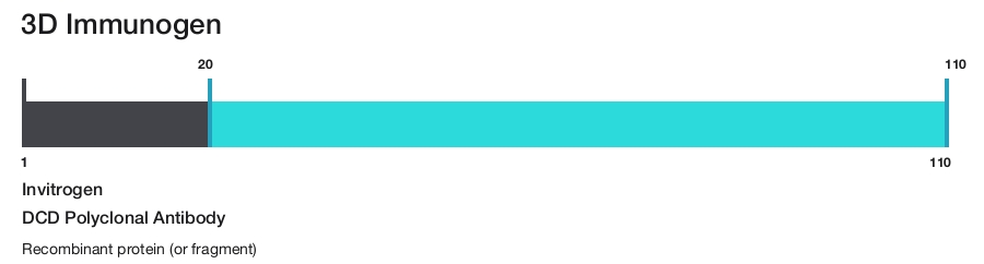 DCD Polyclonal Antibody