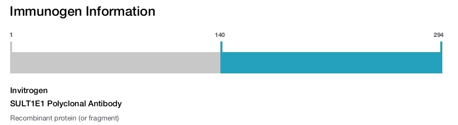 SULT1E1 Polyclonal Antibody