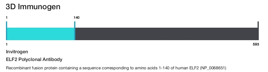 ELF2 Polyclonal Antibody