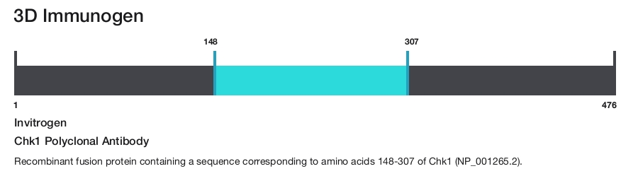 Chk1 Polyclonal Antibody