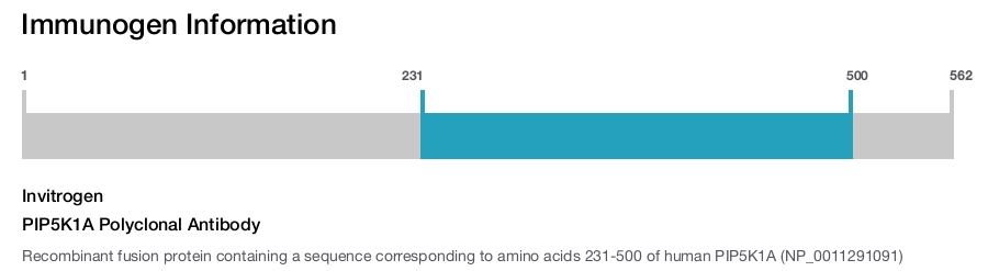 PIP5K1A Polyclonal Antibody