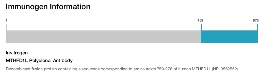 MTHFD1L Polyclonal Antibody