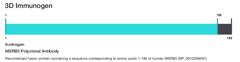 MSRB3 Polyclonal Antibody