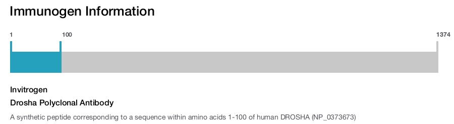 Drosha Polyclonal Antibody