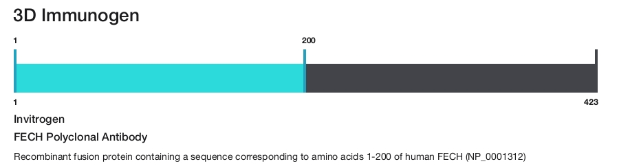 FECH Polyclonal Antibody
