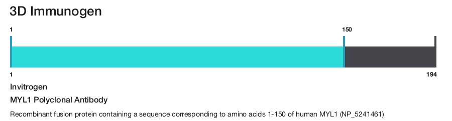 MYL1 Polyclonal Antibody