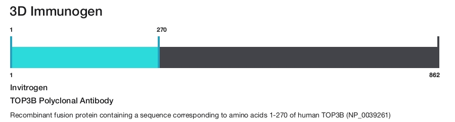 TOP3B Polyclonal Antibody