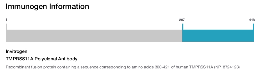 TMPRSS11A Polyclonal Antibody