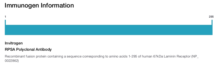 RPSA Polyclonal Antibody