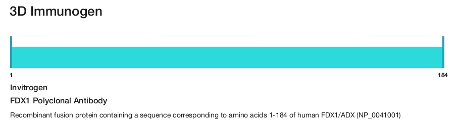 FDX1 Polyclonal Antibody