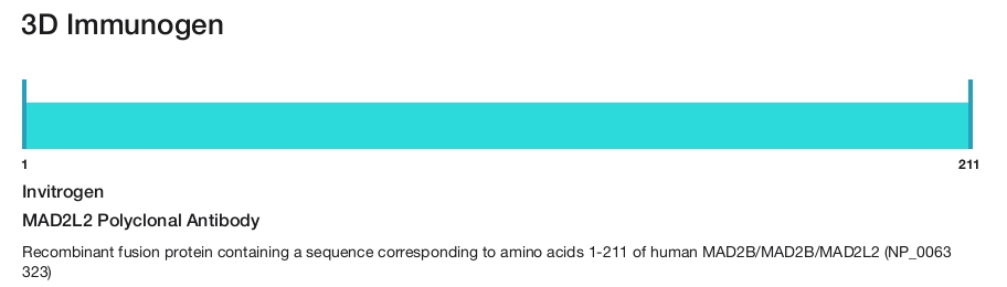 MAD2L2 Polyclonal Antibody