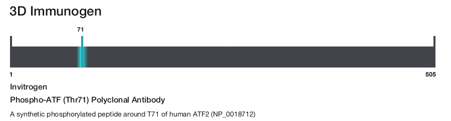 Phospho-ATF (Thr71) Polyclonal Antibody