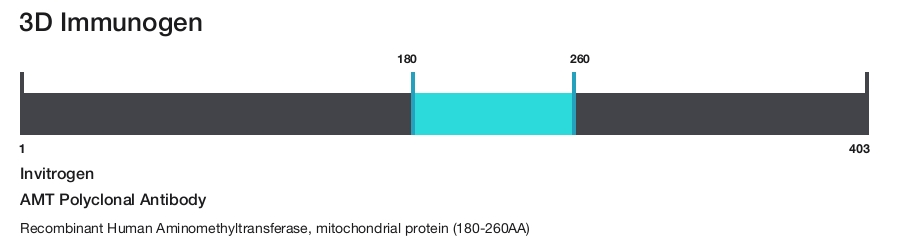 AMT Polyclonal Antibody