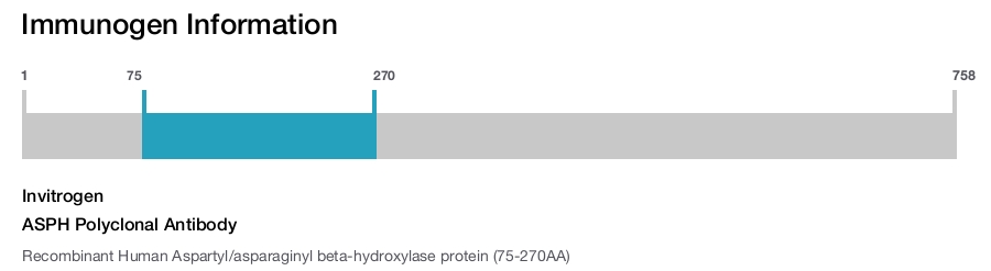 ASPH Polyclonal Antibody