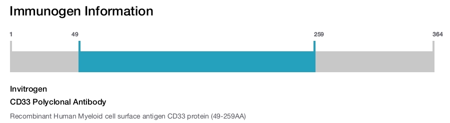 CD33 Polyclonal Antibody