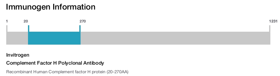 Complement Factor H Polyclonal Antibody