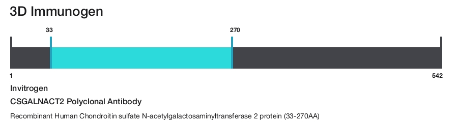 CSGALNACT2 Polyclonal Antibody