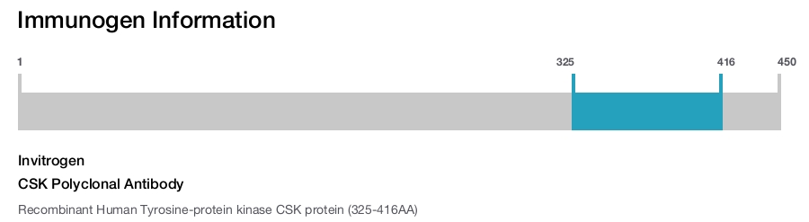 CSK Polyclonal Antibody