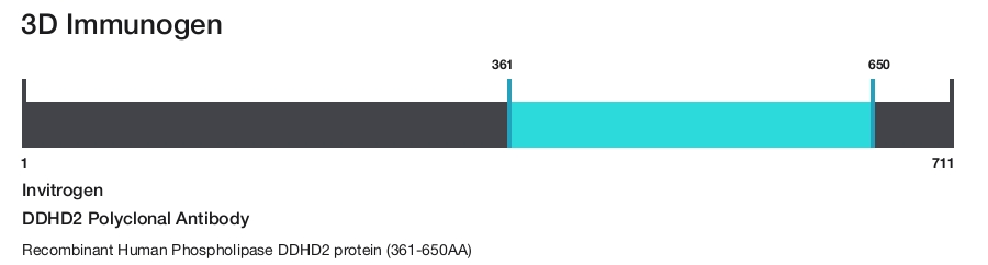 DDHD2 Polyclonal Antibody