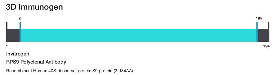 RPS9 Polyclonal Antibody
