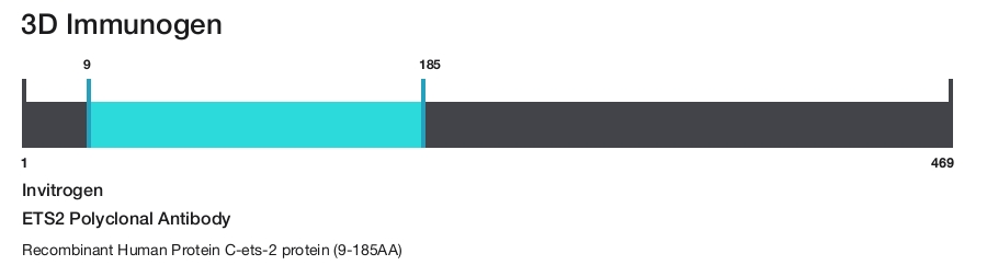ETS2 Polyclonal Antibody