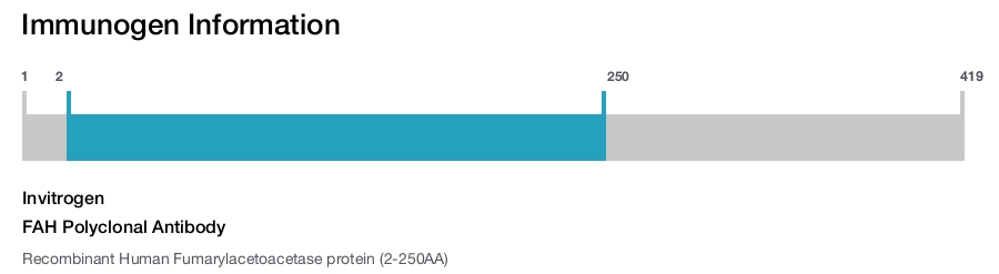 FAH Polyclonal Antibody