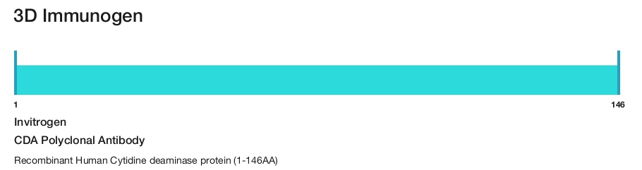CDA Polyclonal Antibody
