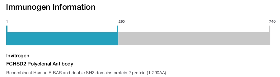 FCHSD2 Polyclonal Antibody