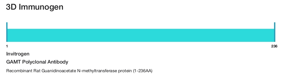 GAMT Polyclonal Antibody