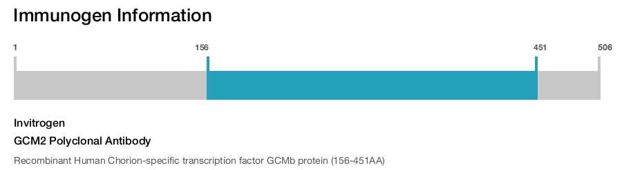 GCM2 Polyclonal Antibody
