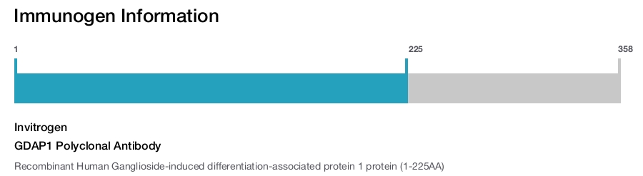 GDAP1 Polyclonal Antibody