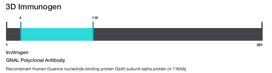 GNAL Polyclonal Antibody