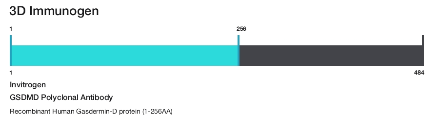 GSDMD Polyclonal Antibody