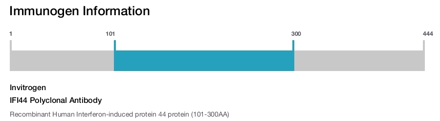 IFI44 Polyclonal Antibody