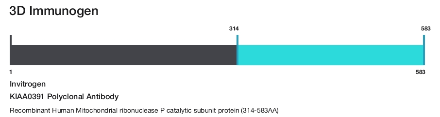 KIAA0391 Polyclonal Antibody